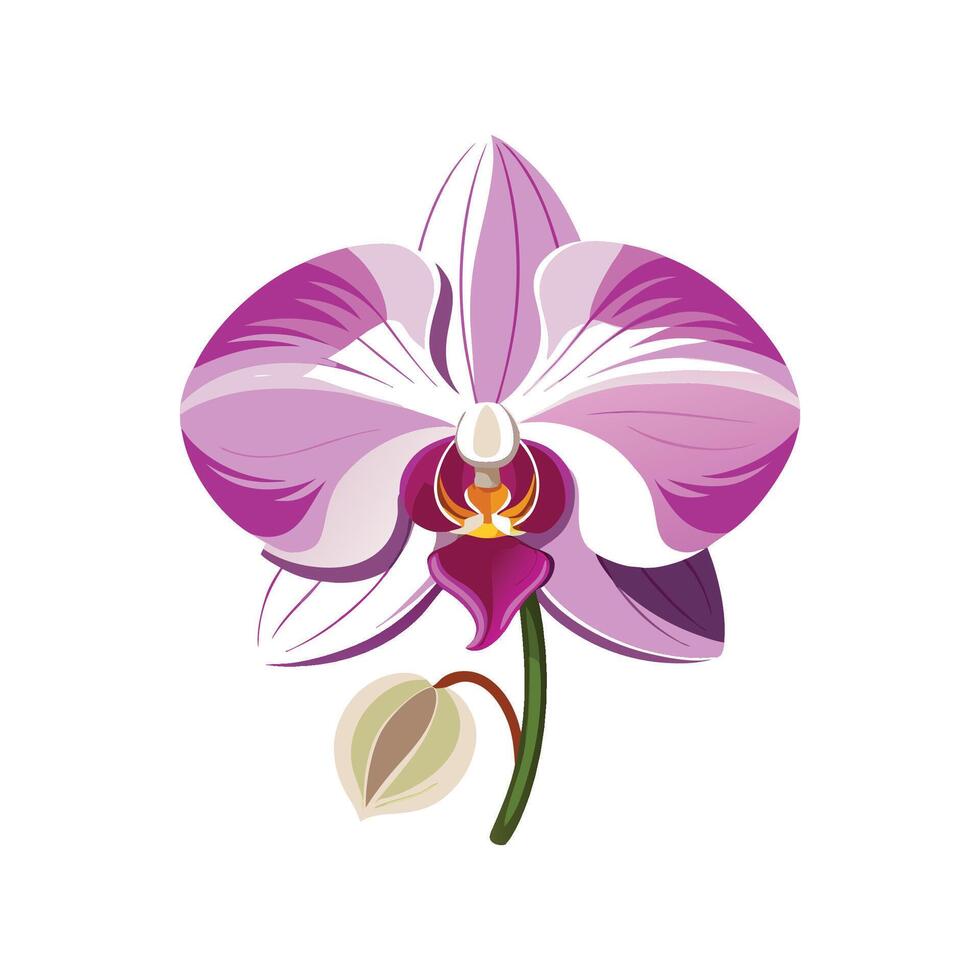 Elegant Orchid Design for Unique Floral Art vector