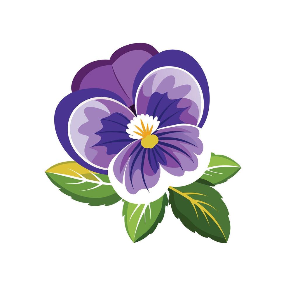 Vibrant Pansy for Beautiful Floral Art vector