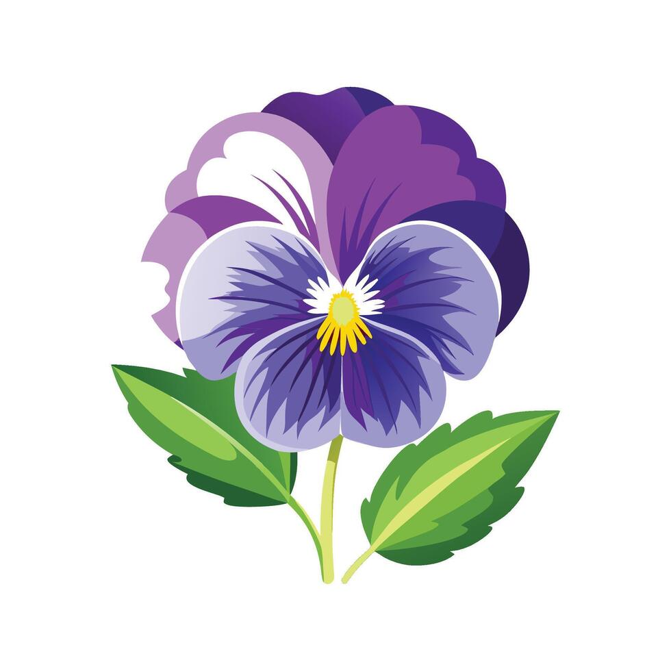 Beautiful Pansy for Nature Lovers vector