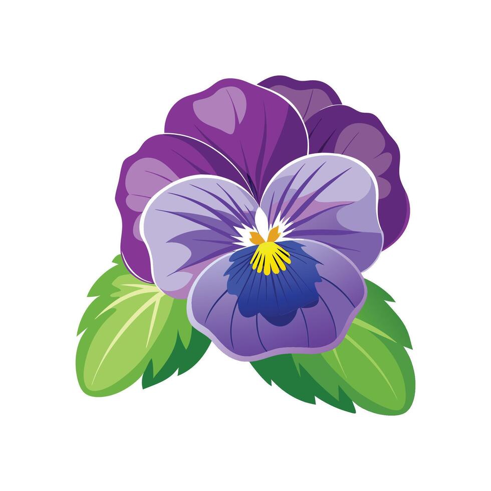 Stylish Pansy for Unique Floral Illustrations vector