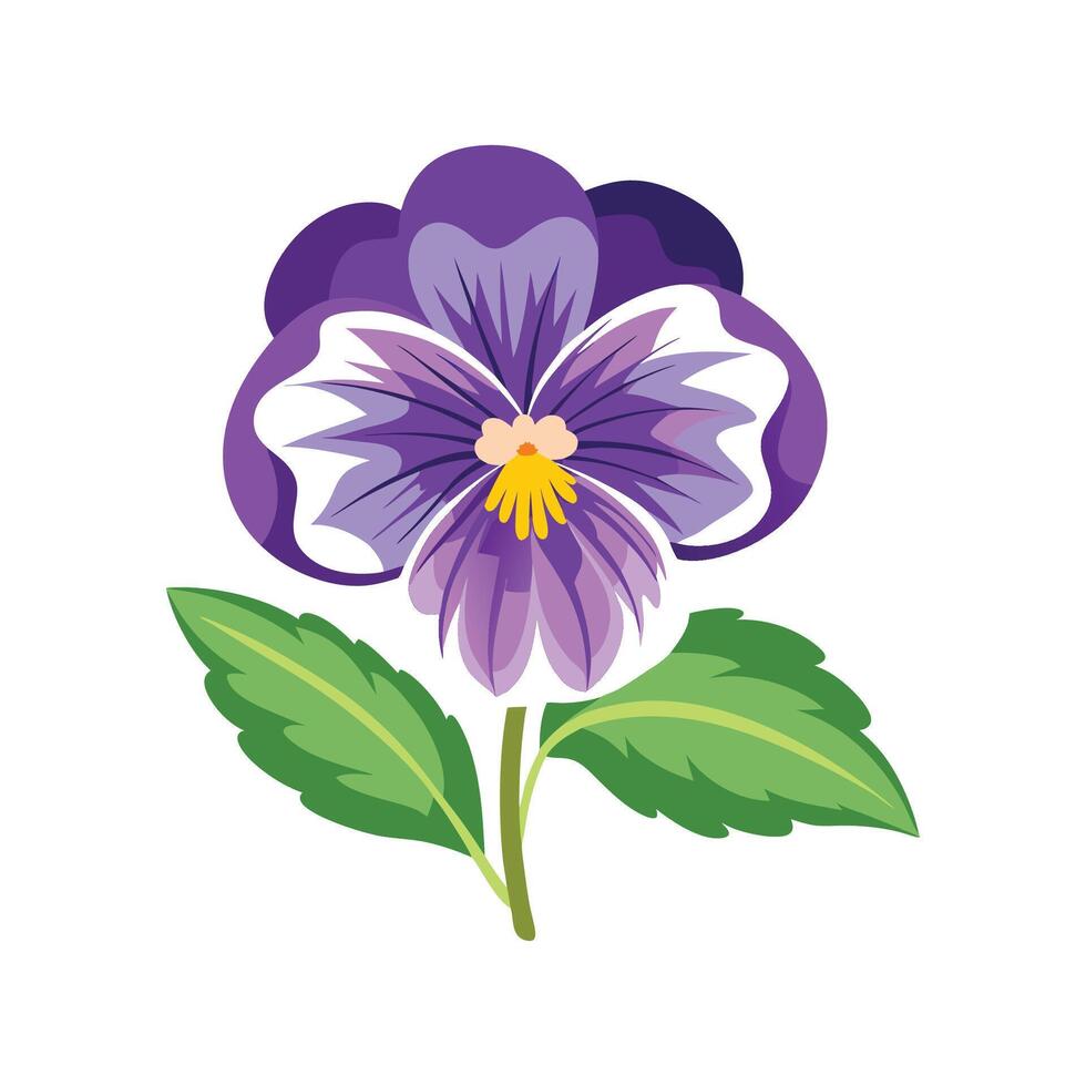 Elegant Pansy Plant Artwork vector