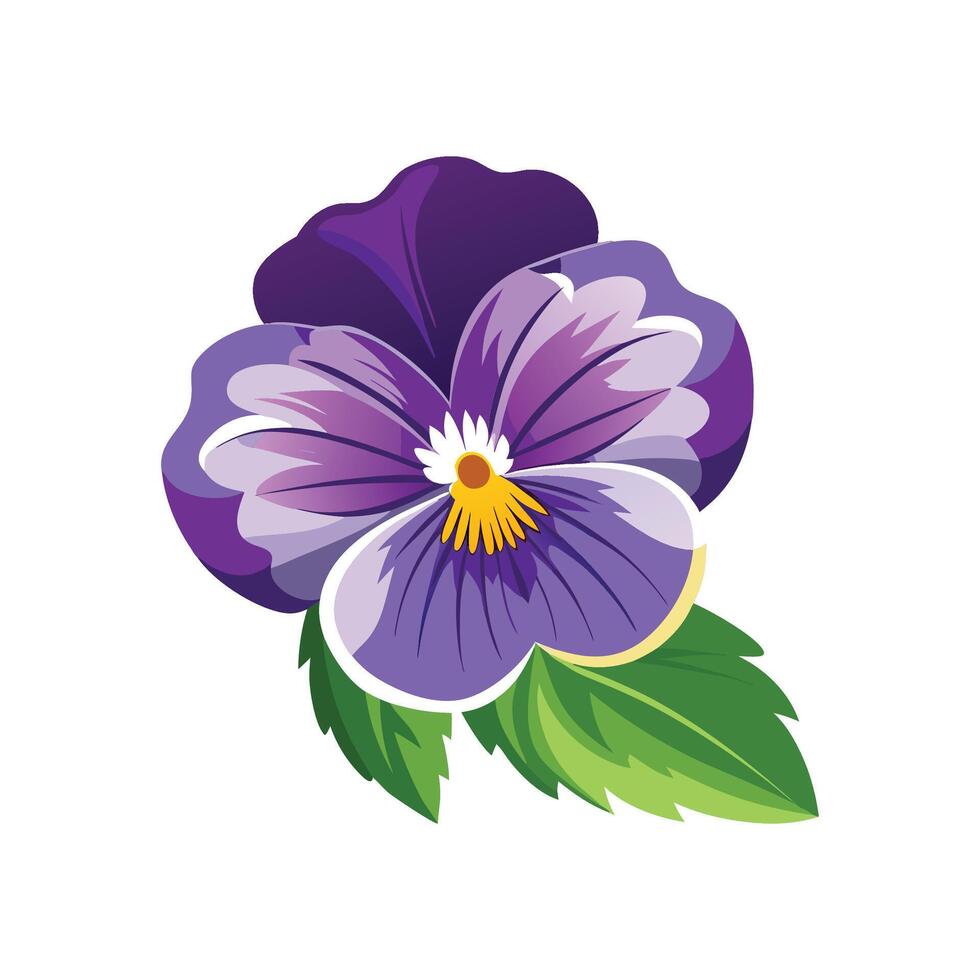 Charming Pansy for Unique Floral Artwork vector