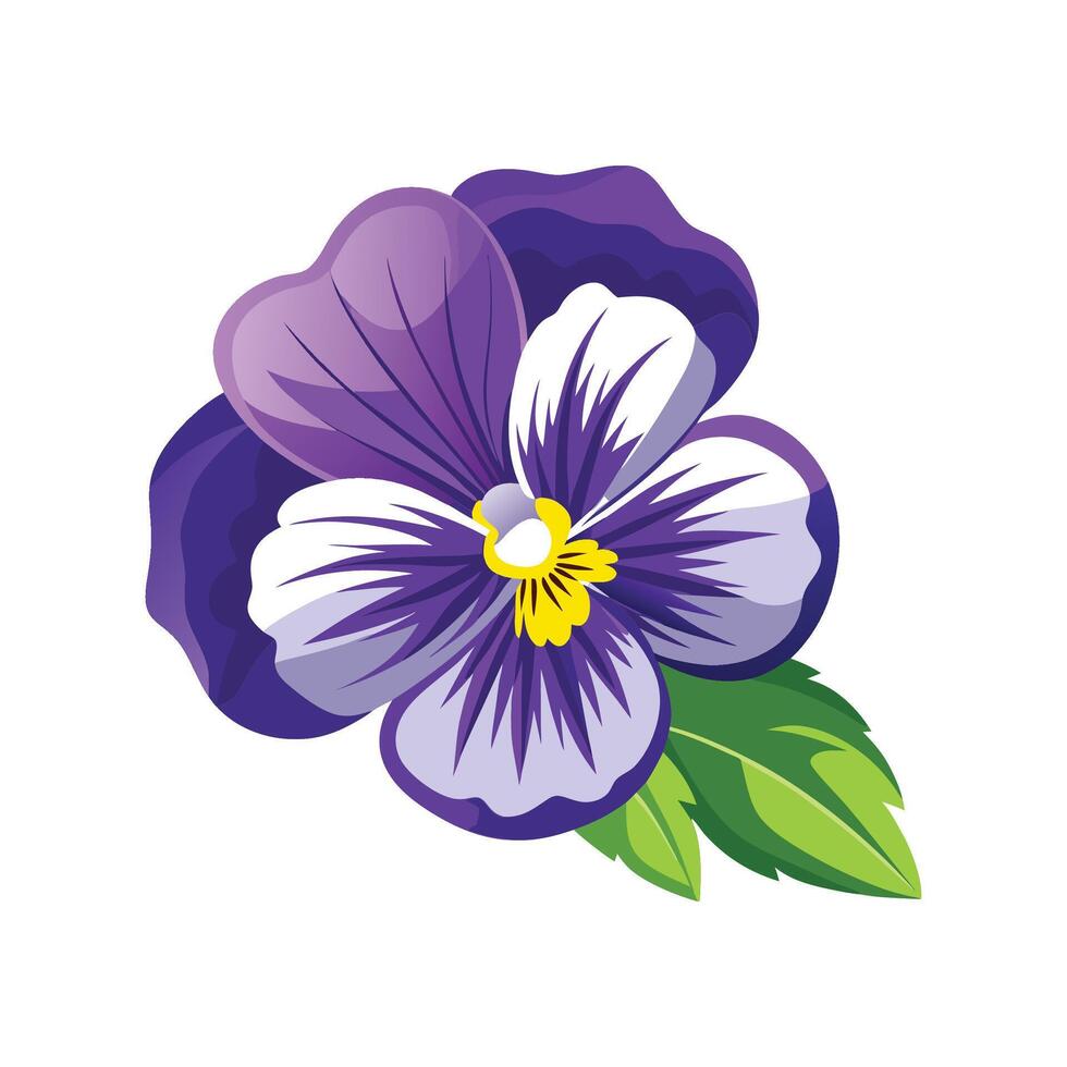 Elegant Pansy for Stunning Floral Artwork vector