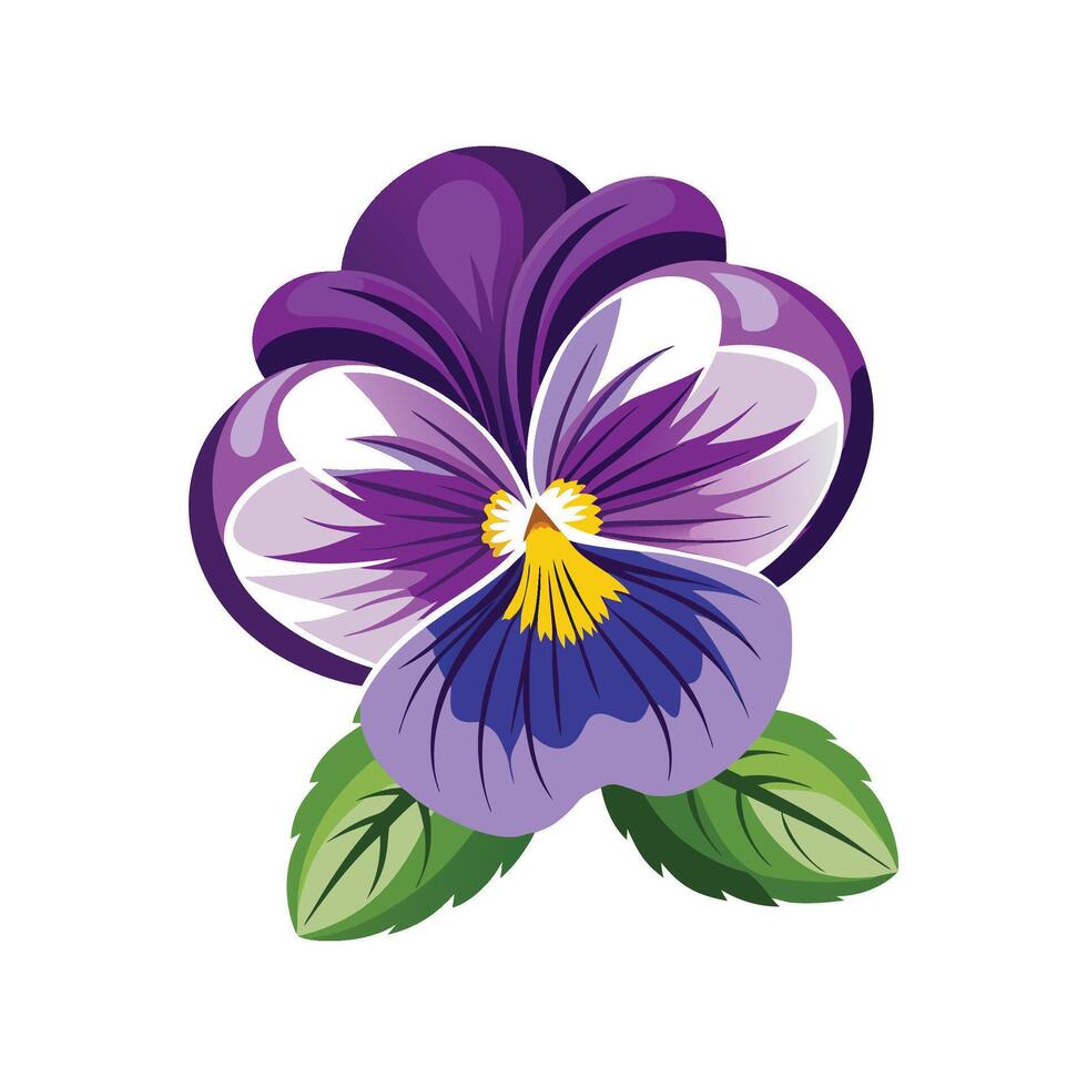 Beautiful Pansy Design for Stunning Floral Art vector