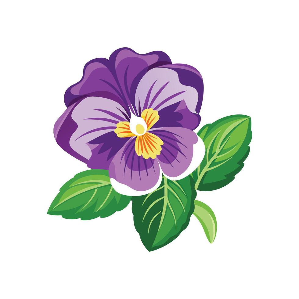 Stylish Pansy for Unique Botanical Illustrations vector