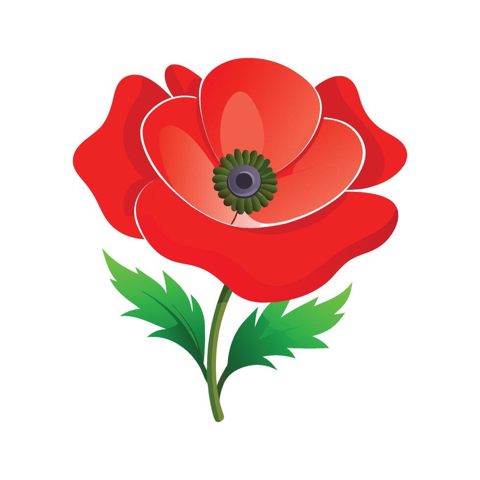 Beautiful Papaver Design for Nature Lovers vector