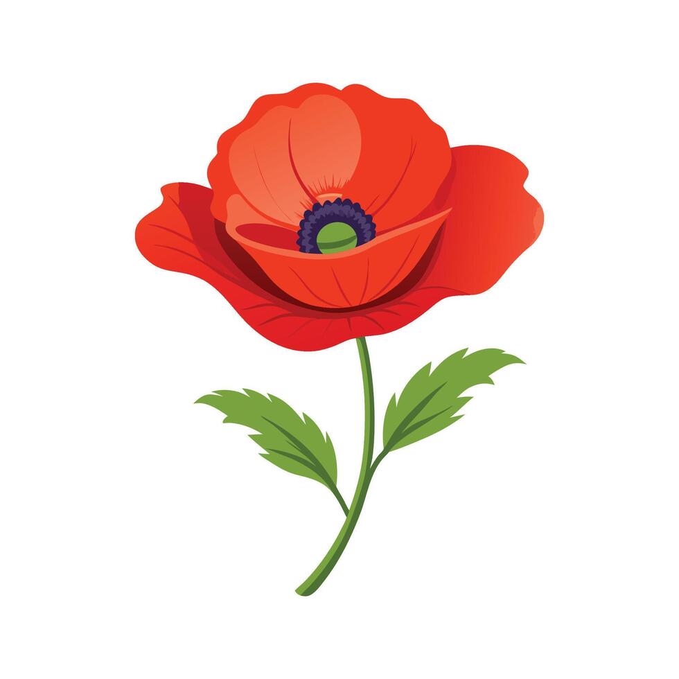Charming Papaver Design for Unique Floral Art vector