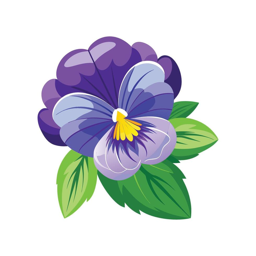 Vibrant Pansy for Beautiful Floral Designs vector