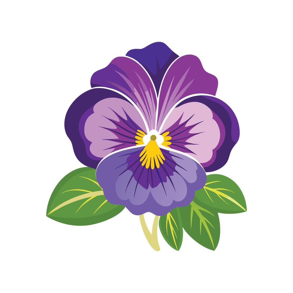 Elegant Pansy Design for Creative Floral Art vector