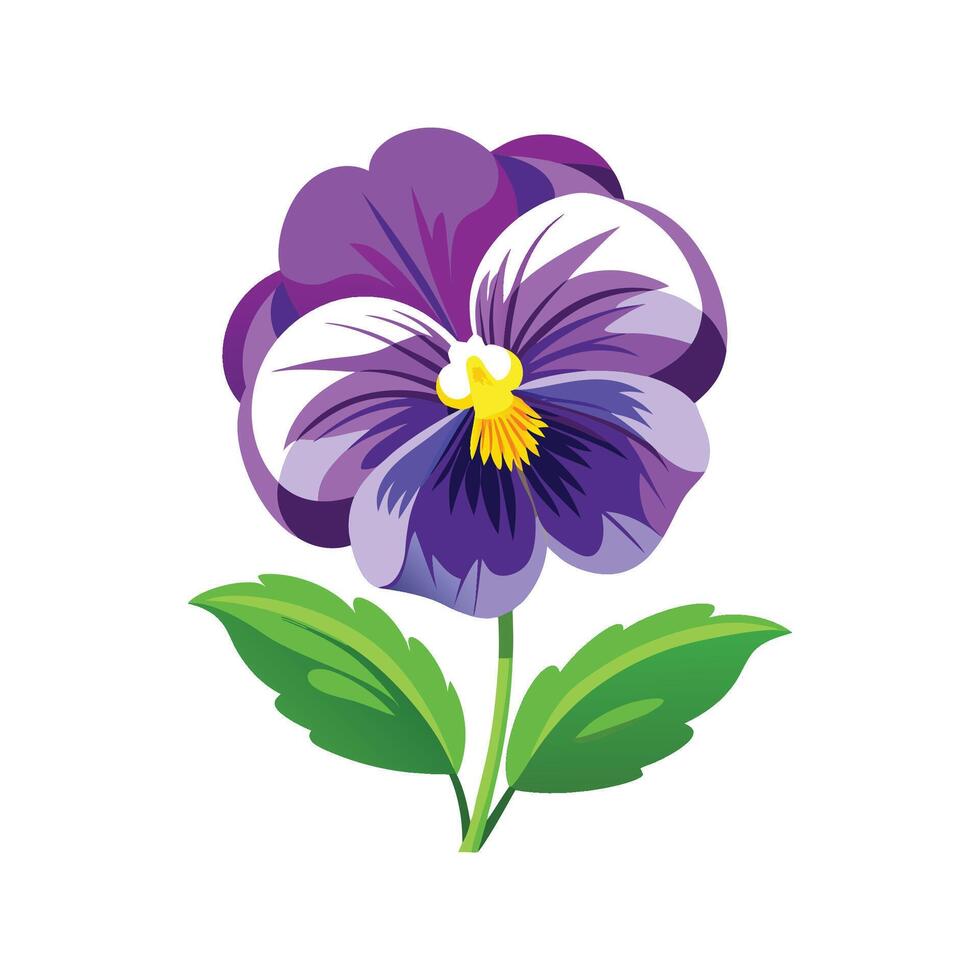 Exquisite Pansy for Artistic Floral Illustrations vector