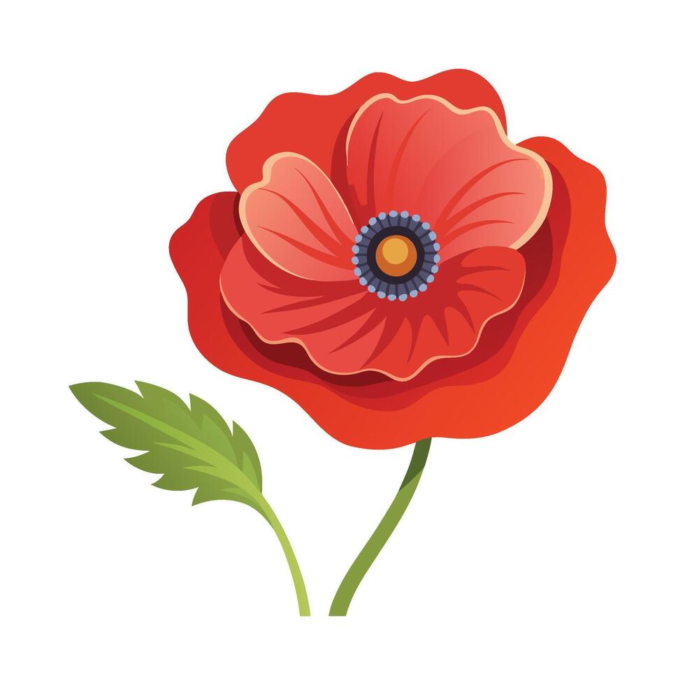 Elegant Papaver Design for Stunning Floral Artwork vector