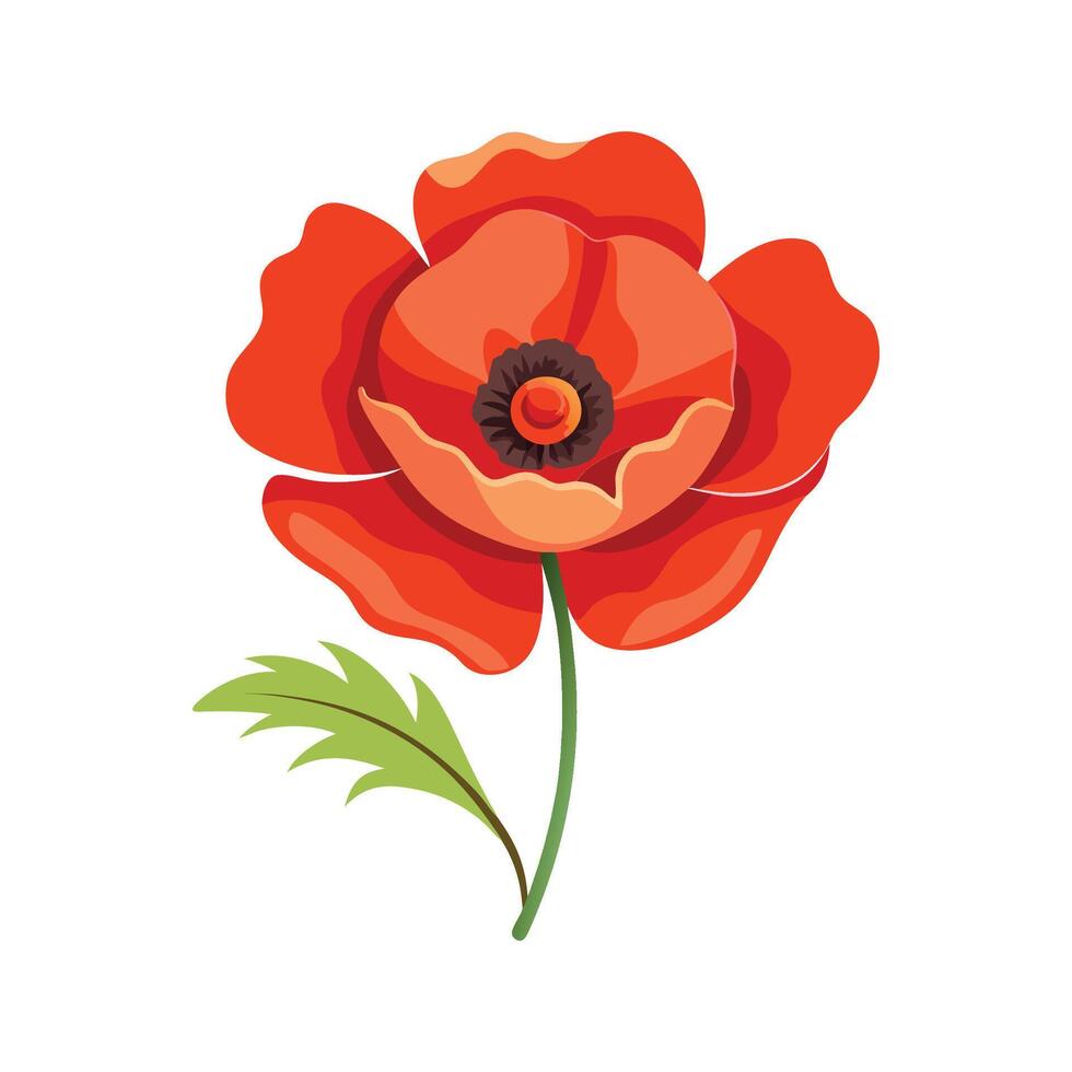 Stylish Papaver for Stunning Floral Designs vector