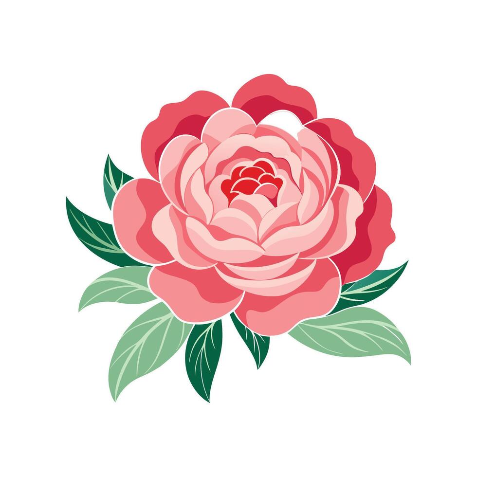 Stunning Peony for Artistic Floral Illustrations vector