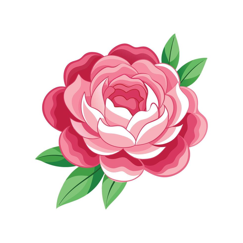 Charming Peony for Unique Floral Art vector