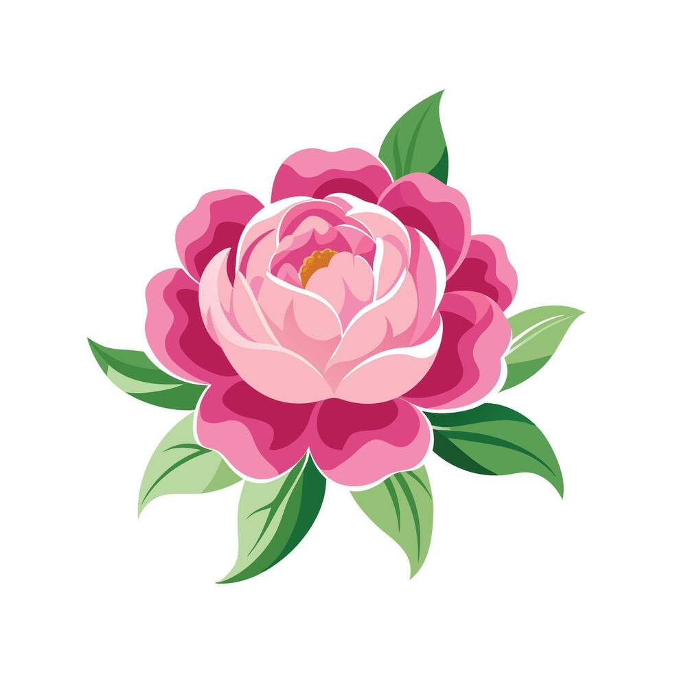 Vibrant Peony for Beautiful Botanical Art vector