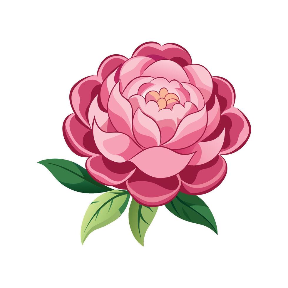 Elegant Peony Design for Stunning Floral Artwork vector