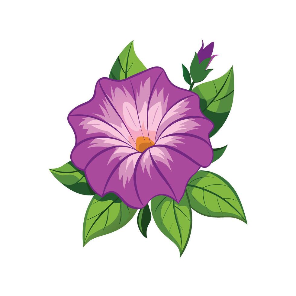 Charming Petunia for Stunning Floral Art vector