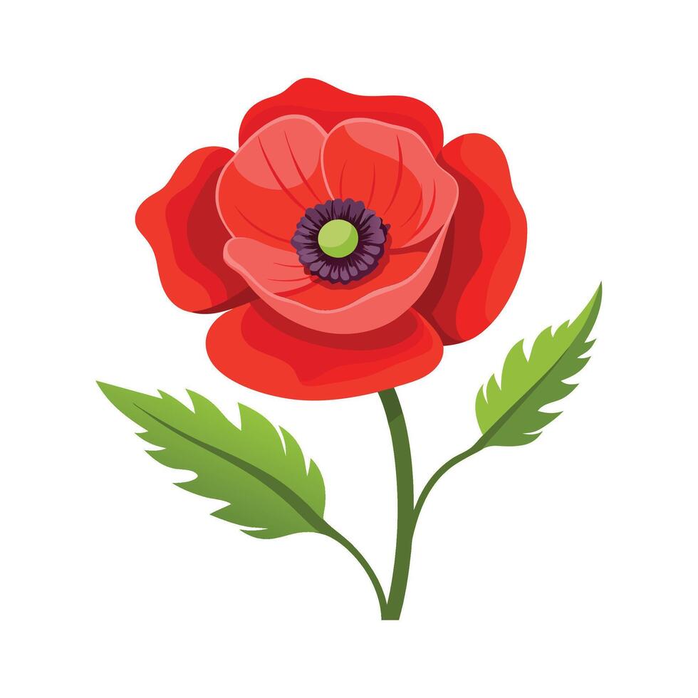 Elegant Poppy Plant Artwork vector