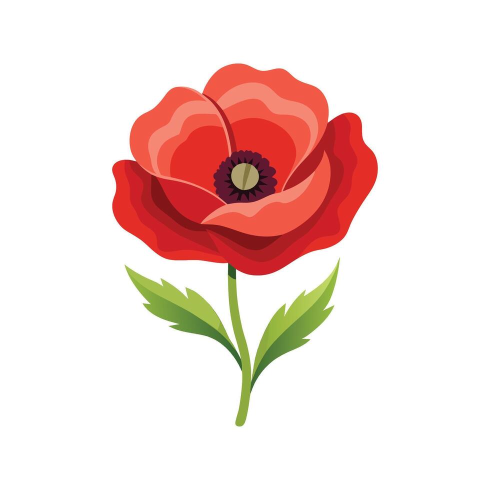 Elegant Poppy for Beautiful Floral Illustrations vector