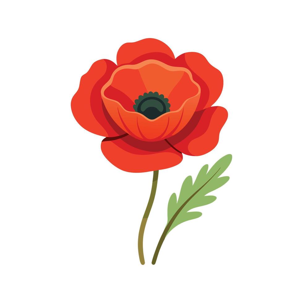Artistic Poppy for Stunning Floral Art vector