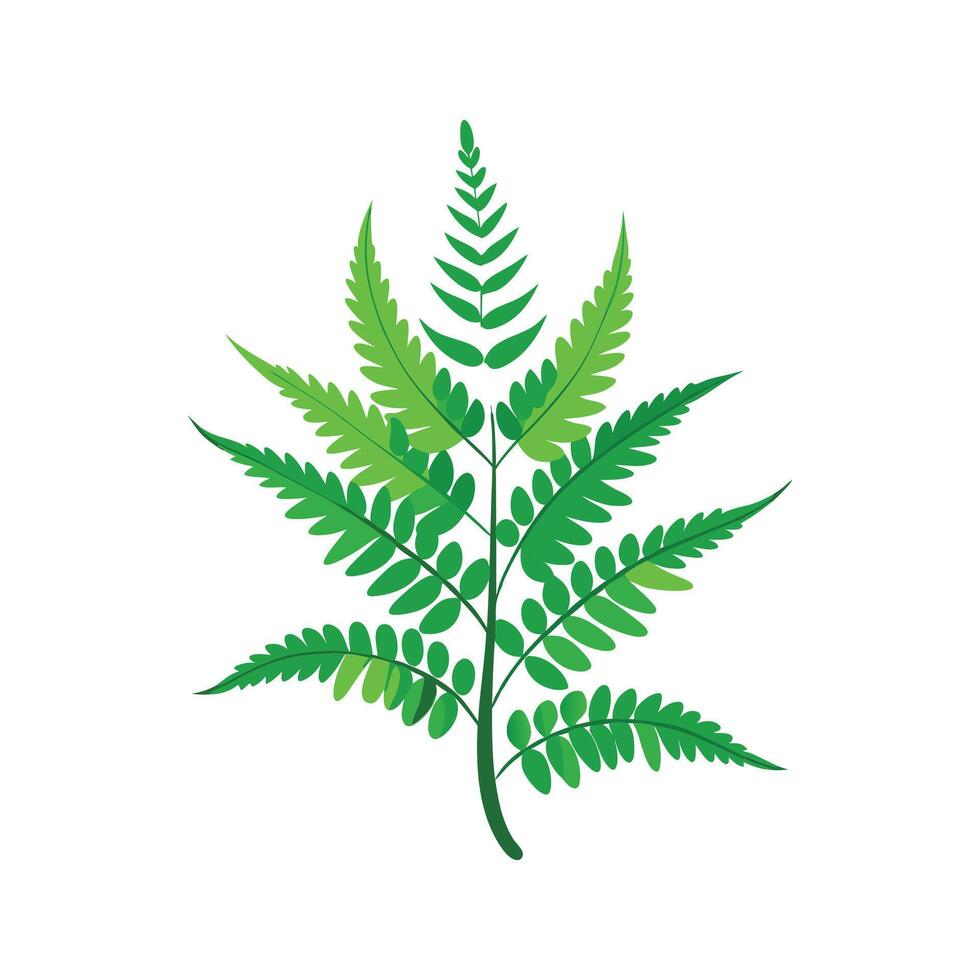 Charming Rabbits Foot Fern Design vector