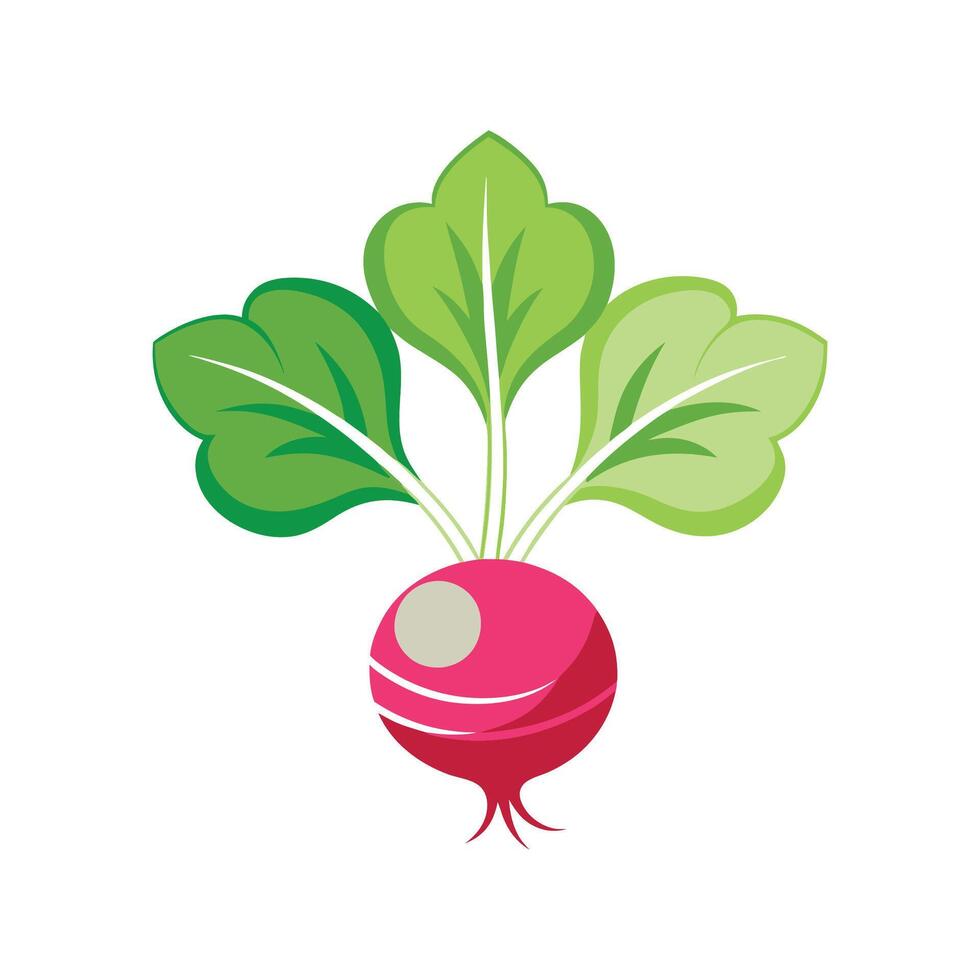 Stylish Radish Blossom for Unique Floral Illustrations vector