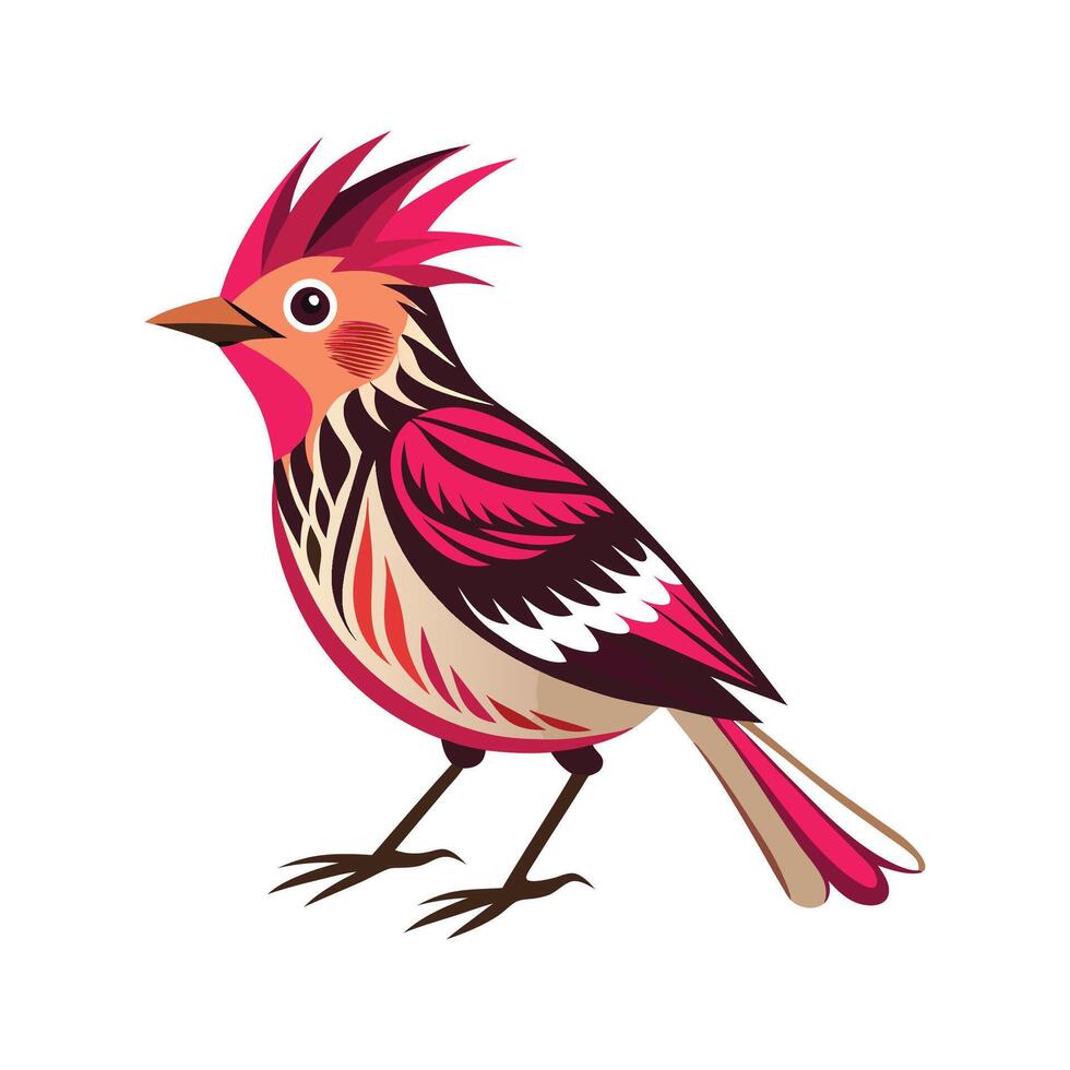 Elegant Ragged Robin for Stunning Floral Artwork vector