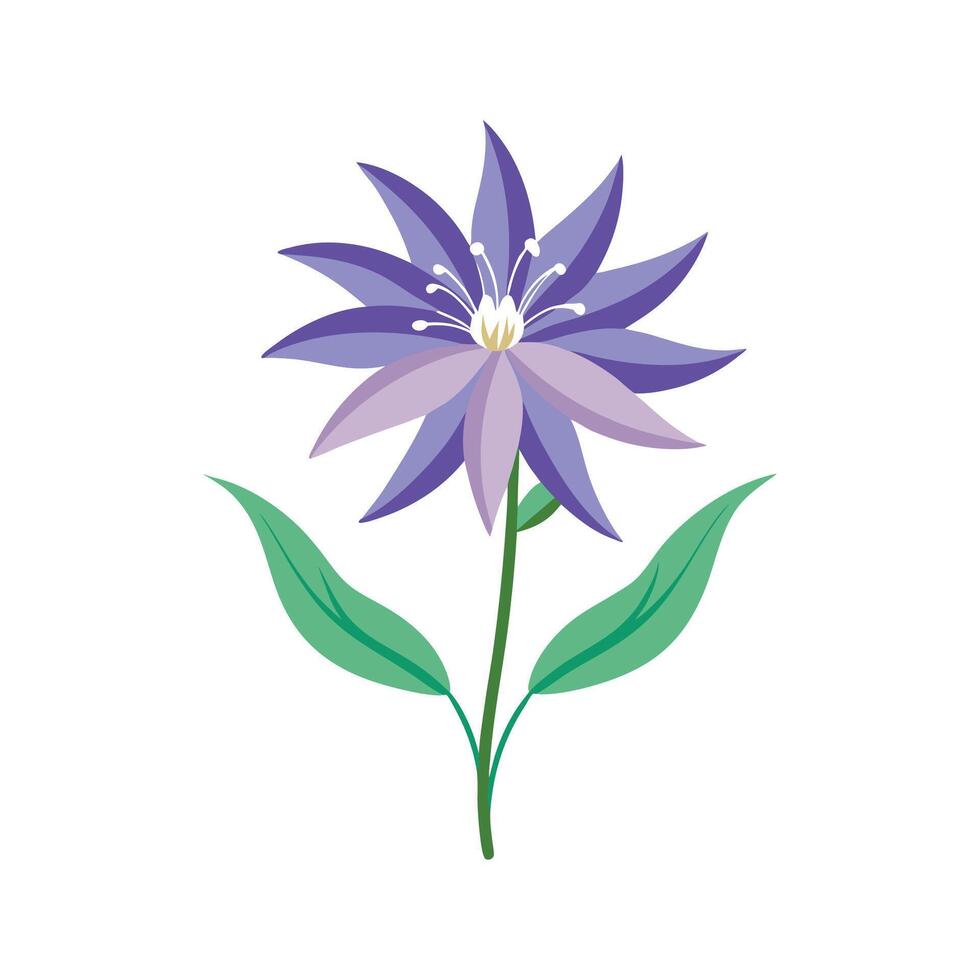 Charming Rampion for Unique Floral Art vector