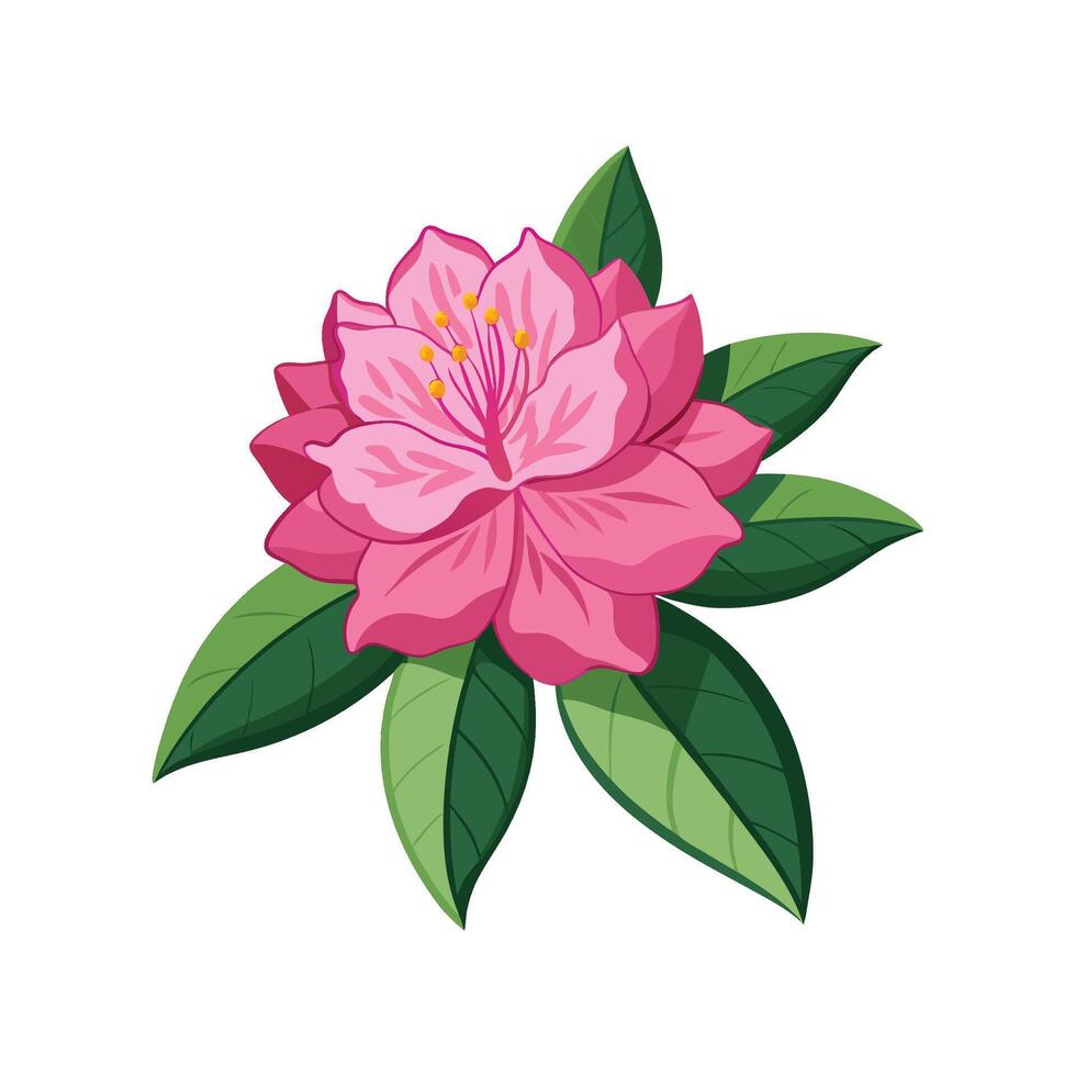 Elegant Rhododendron for Stunning Floral Artwork vector