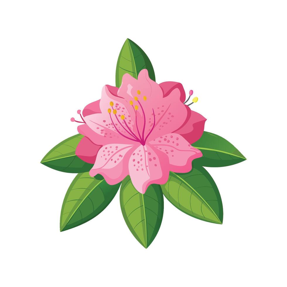 Stylish Rhododendron for Unique Floral Illustrations vector
