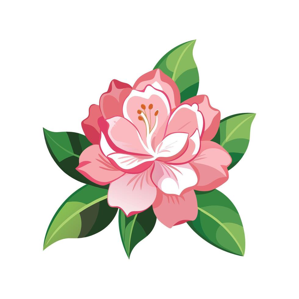 Elegant Rhododendron for Stunning Floral Designs vector