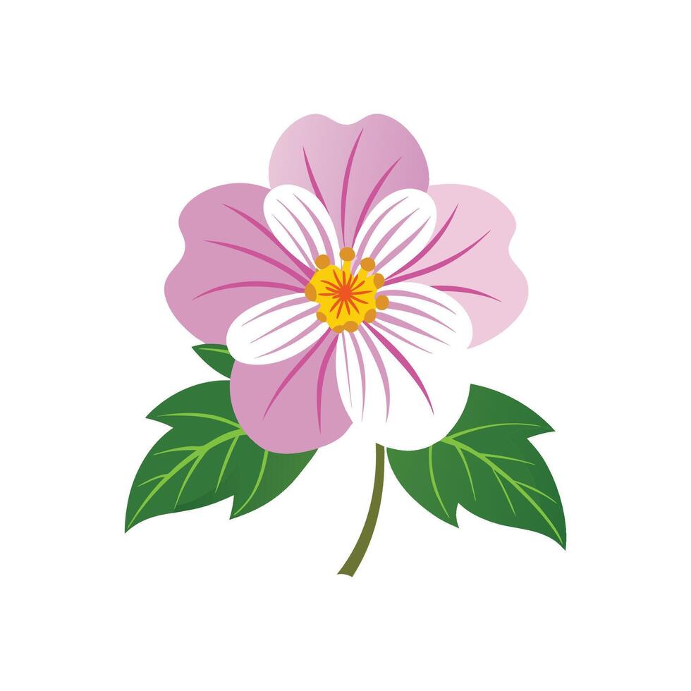 Elegant Rockrose Plant Artwork vector