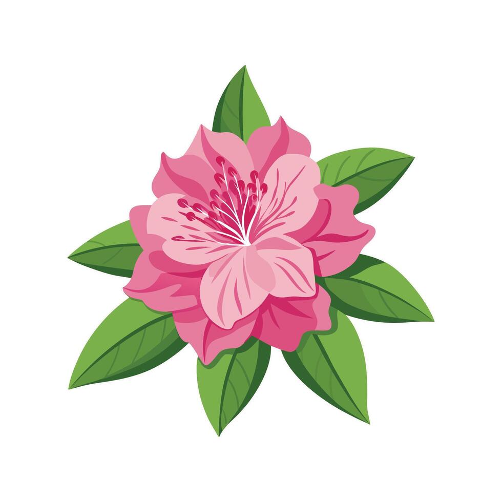 Stylish Rhododendron for Beautiful Floral Illustrations vector