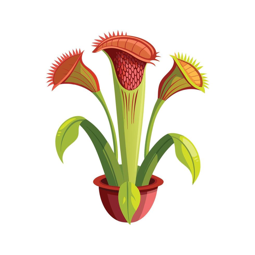 Vibrant Sarracenia for Beautiful Floral Designs vector