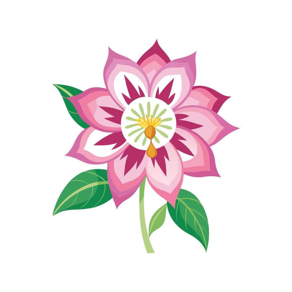 Stylish Schizanthus for Unique Floral Illustrations vector