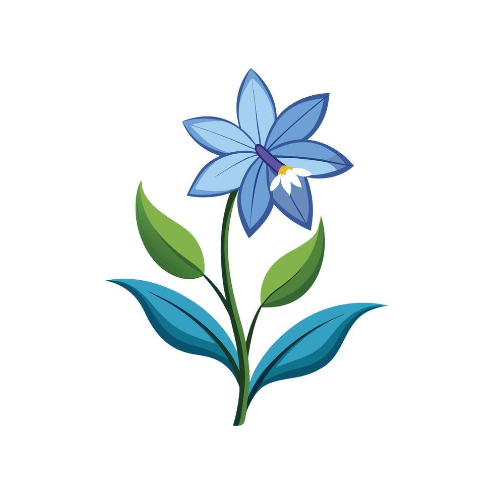 Charming Scilla for Unique Floral Art vector