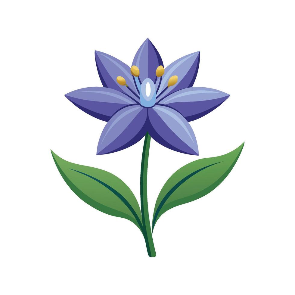 Vibrant Scilla for Stunning Floral Designs vector