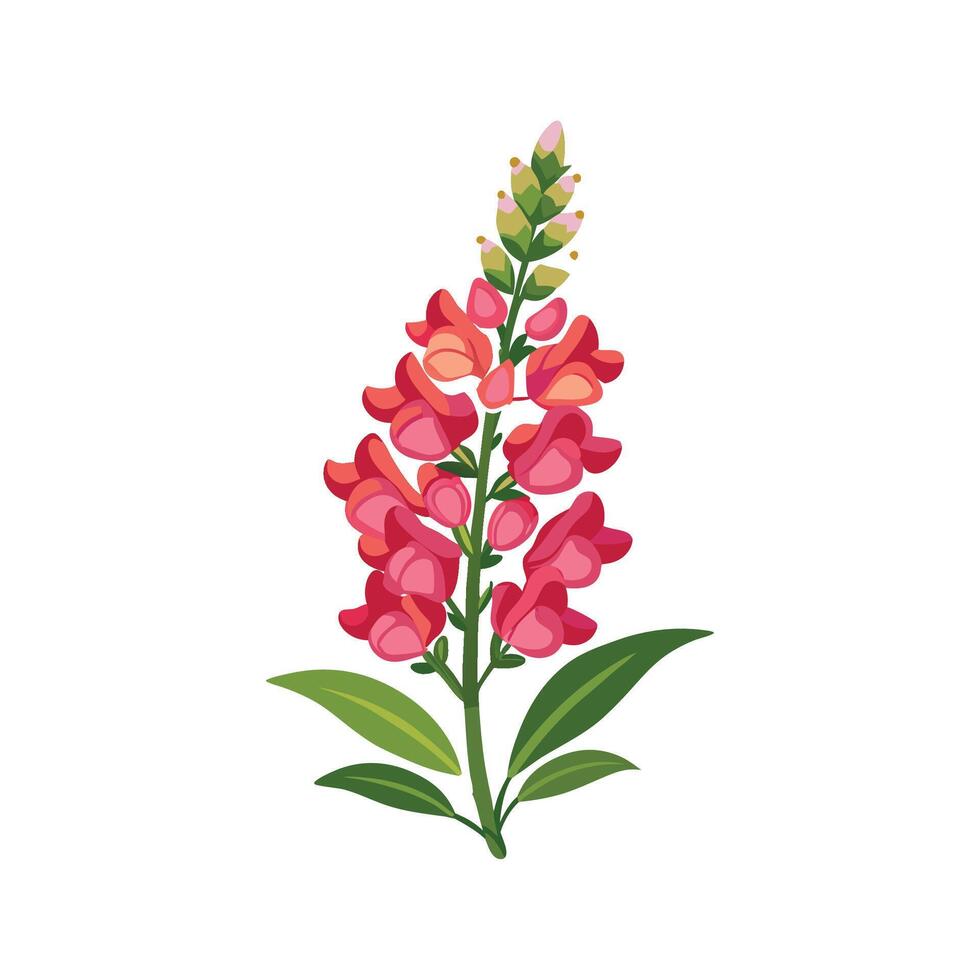 Beautiful Snapdragon for Nature Lovers vector