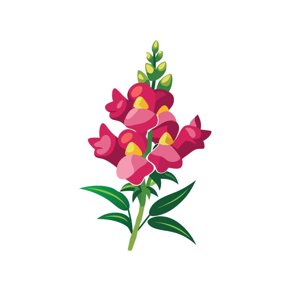 Elegant Snapdragon Plant Design vector