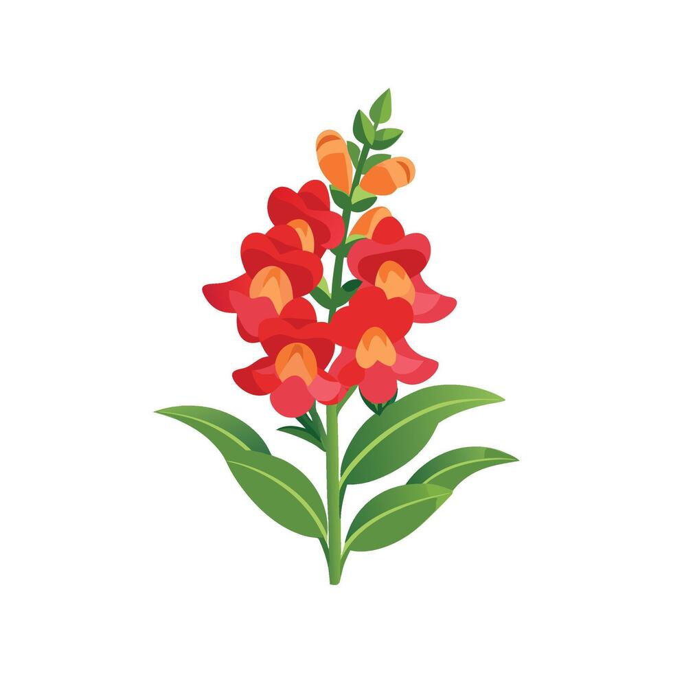 Elegant Snapdragon for Beautiful Floral Artwork vector