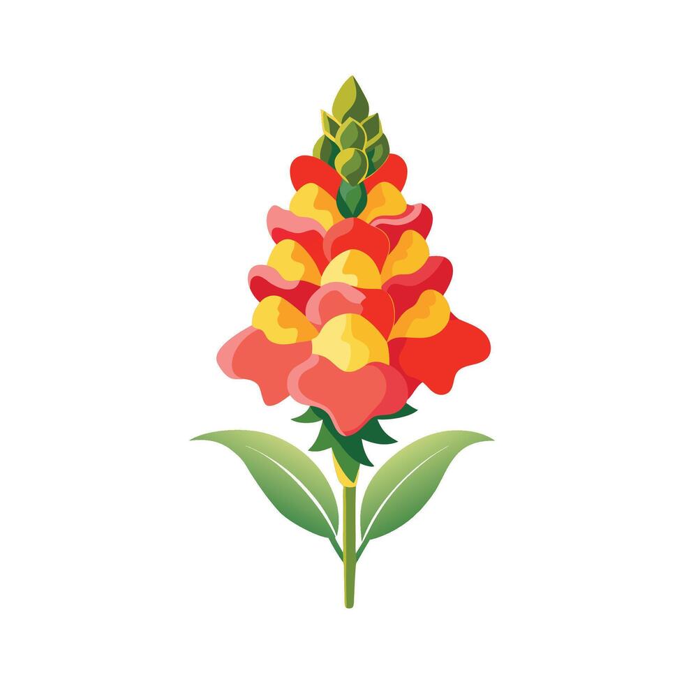 Elegant Snapdragon for Unique Floral Artwork vector