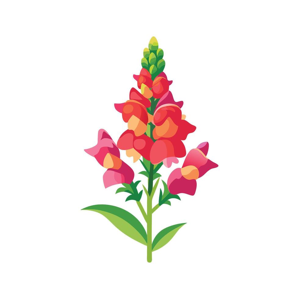 Beautiful Snapdragon Plant Design vector