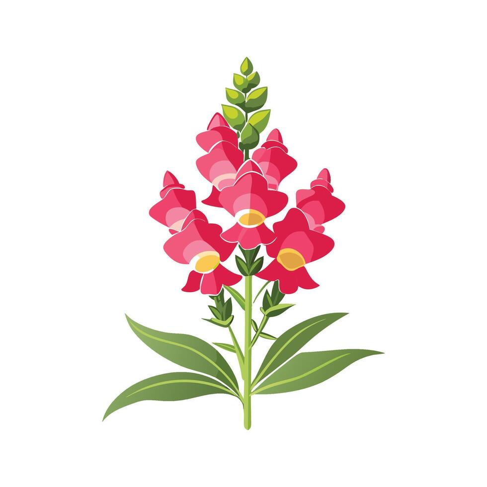 Charming Snapdragon for Unique Floral Illustrations vector