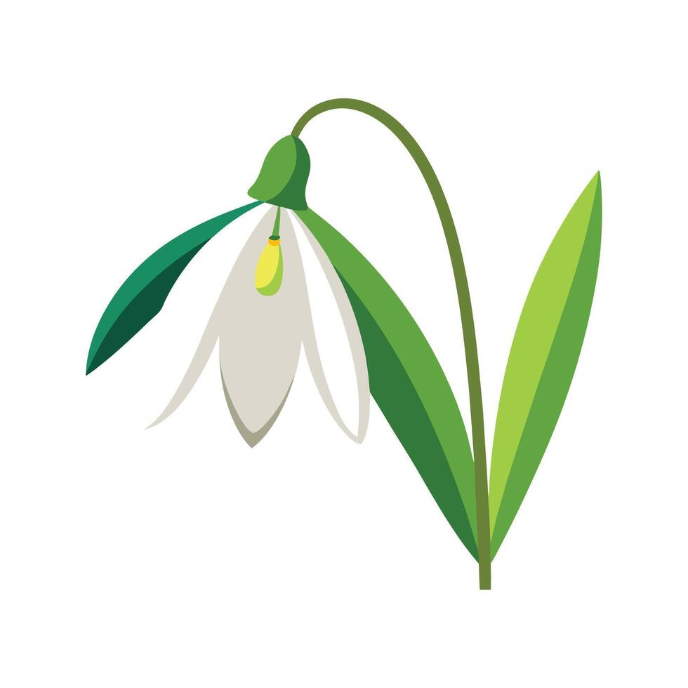 Charming Snowdrop Plant Design vector