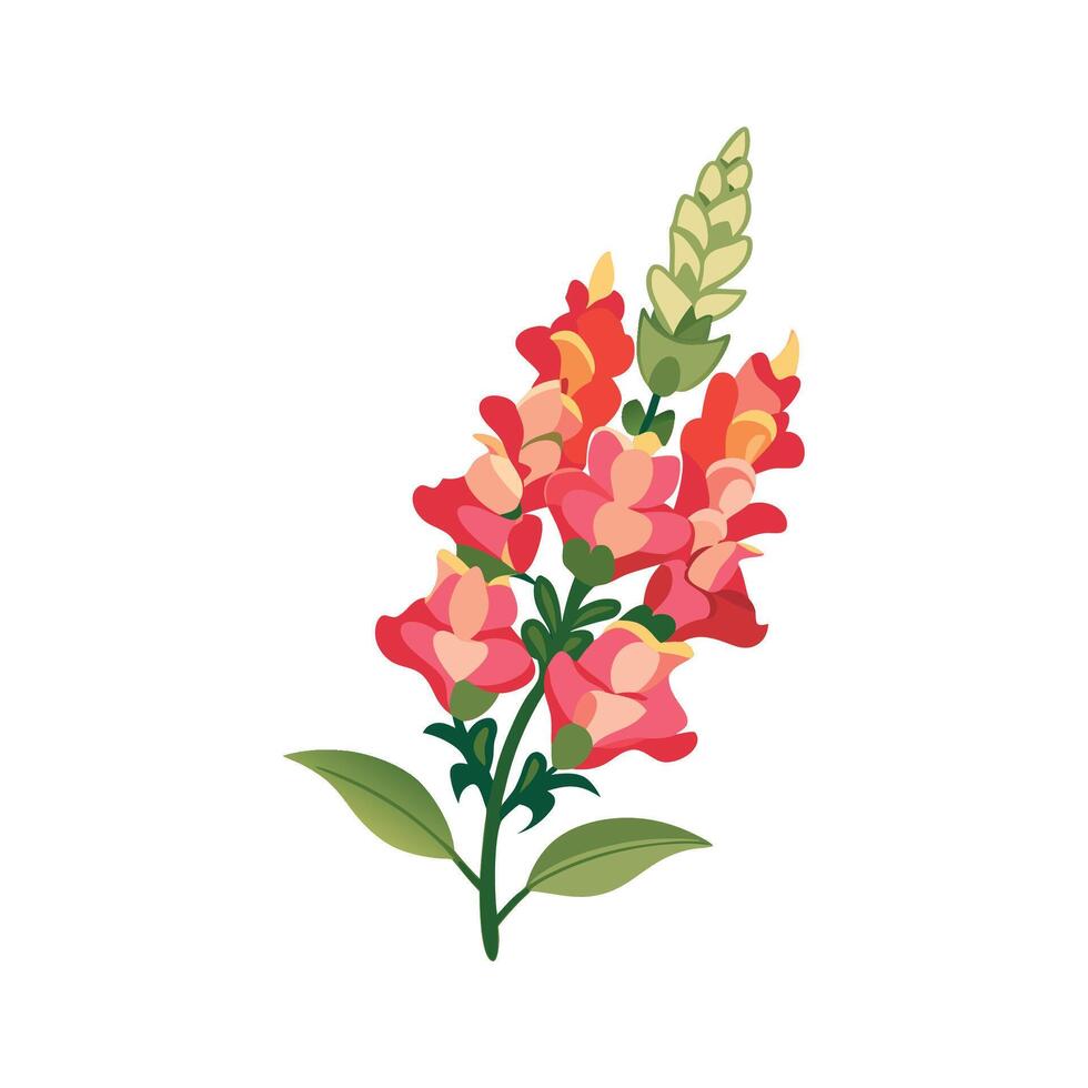 Stylish Snapdragon for Beautiful Floral Artwork vector