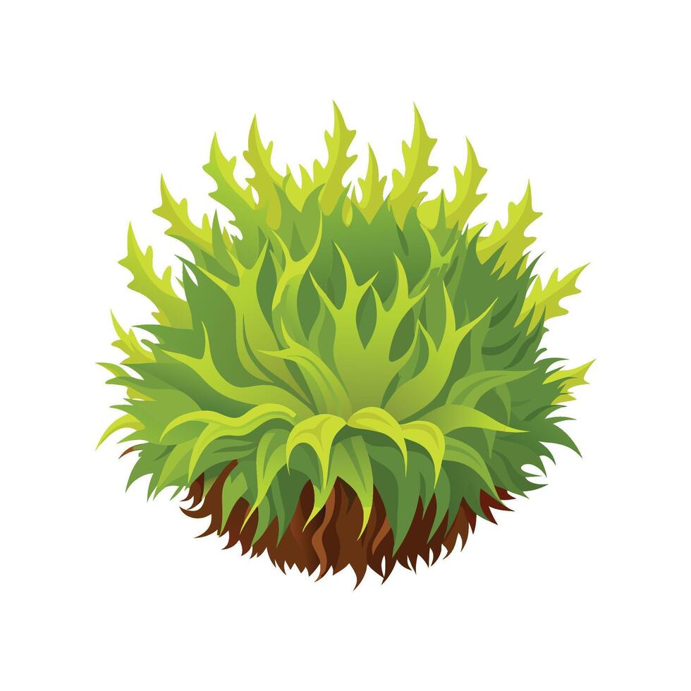 Stylish Sphagnum Moss for Unique Floral Illustrations vector