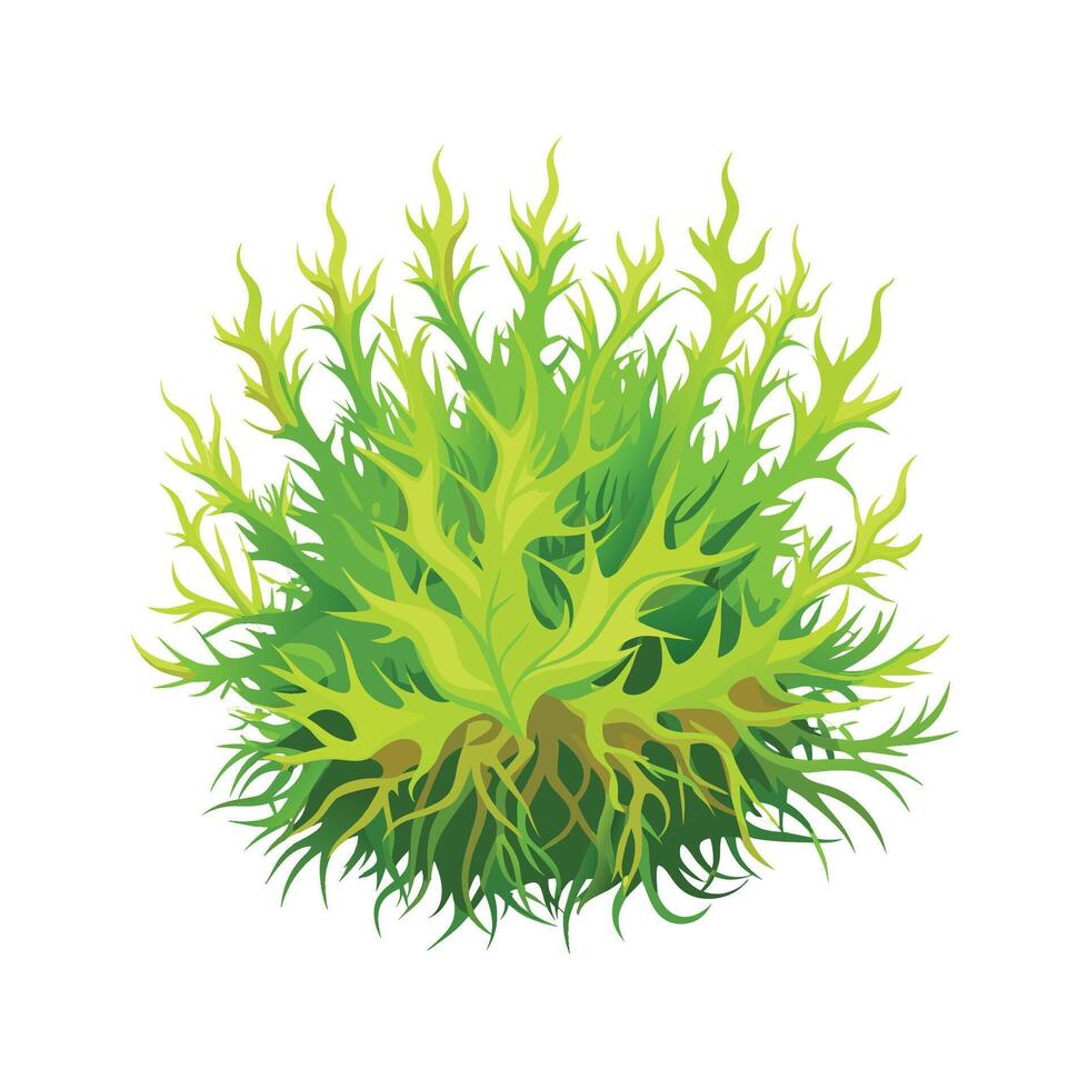 Charming Sphagnum Moss for Beautiful Floral Art vector