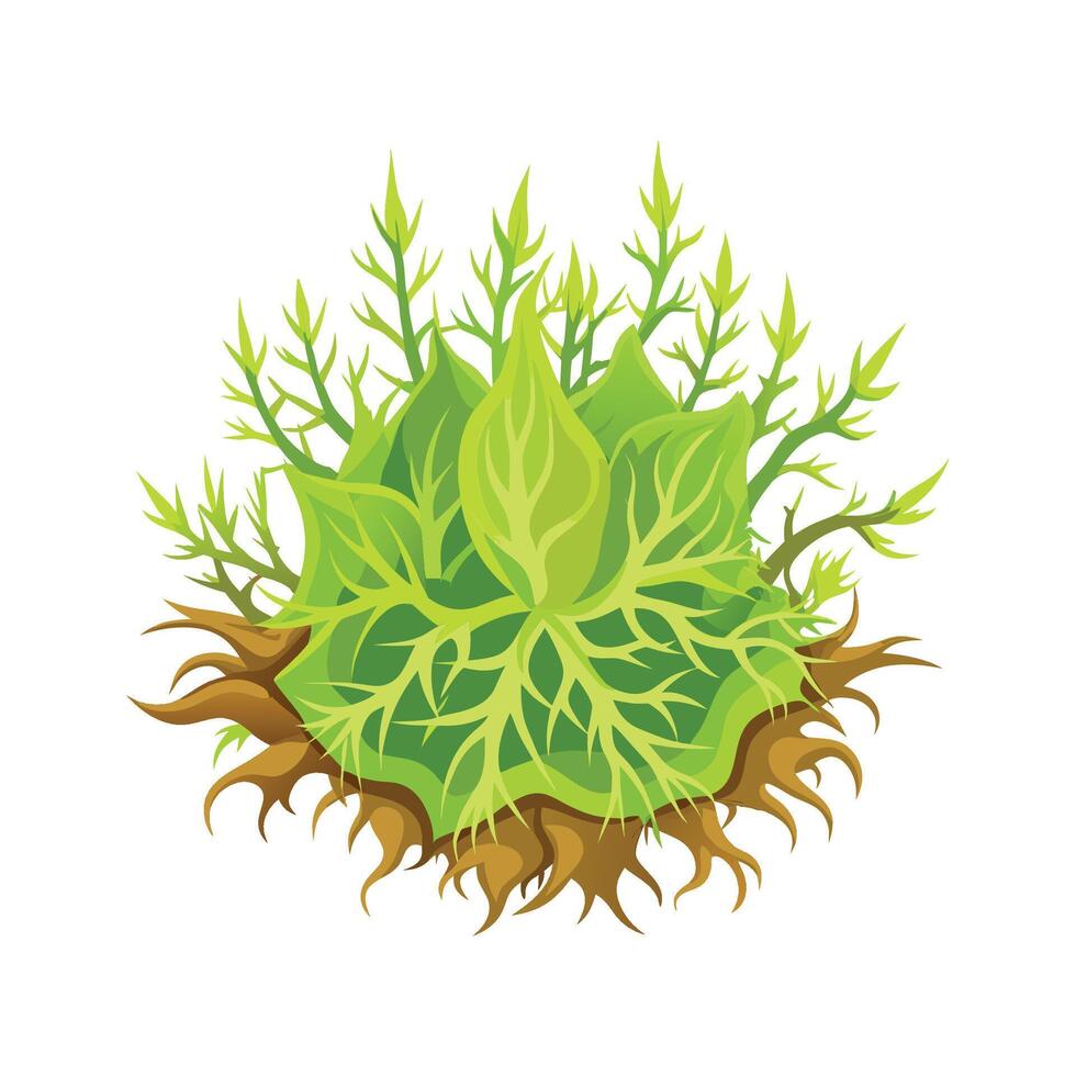 Vibrant Sphagnum Moss for Unique Botanical Artwork vector