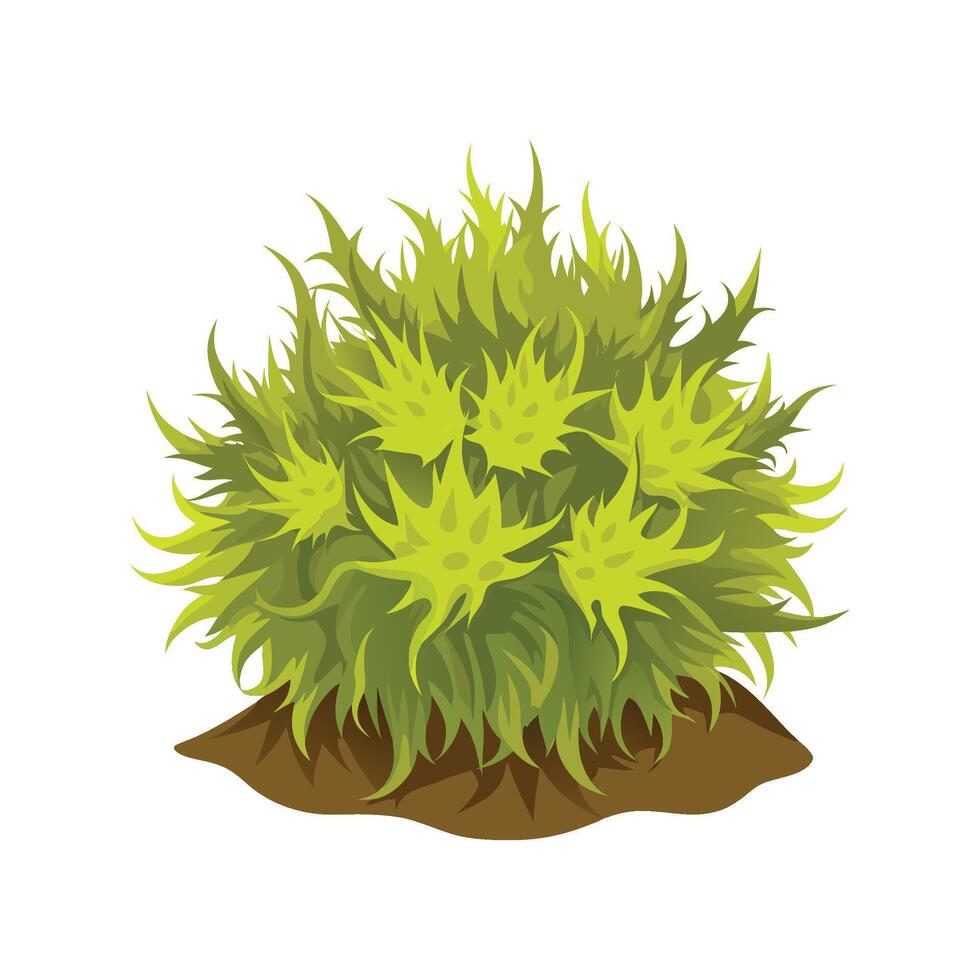 Elegant Sphagnum Moss for Stunning Floral Artwork vector