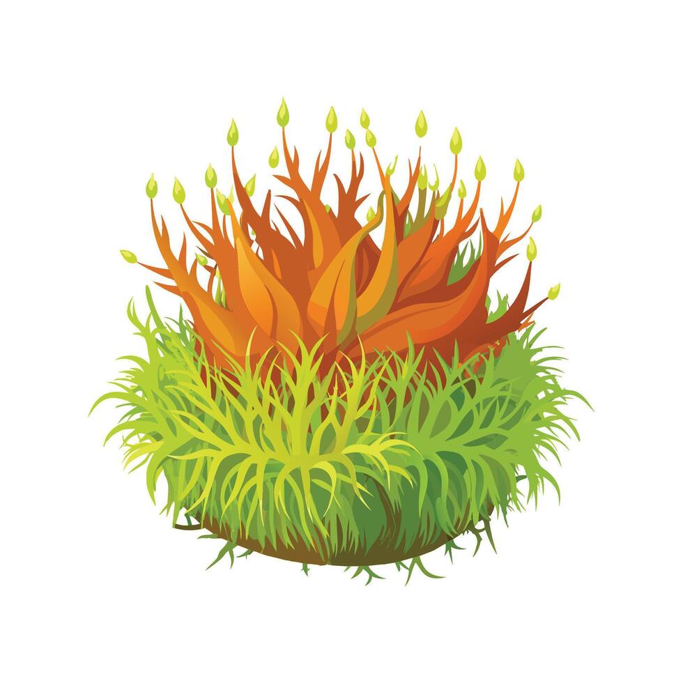 Elegant Sphagnum Moss for Stunning Floral Art vector